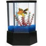 Mini Hex Aquarium Kit