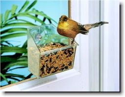 Birds-Eye Mini Window Feeder - 9016