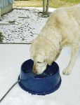 Thermo Bowl - Outdoor Heated Water Bowl