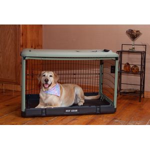 Dog in Crate