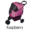 PG8050RB - Raspberry