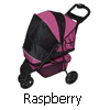 PG8250RB - Raspberry