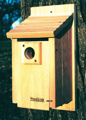 Traditional Bluebird House: KittenKaboodle.com