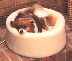 Heated Bed for Small Dogs