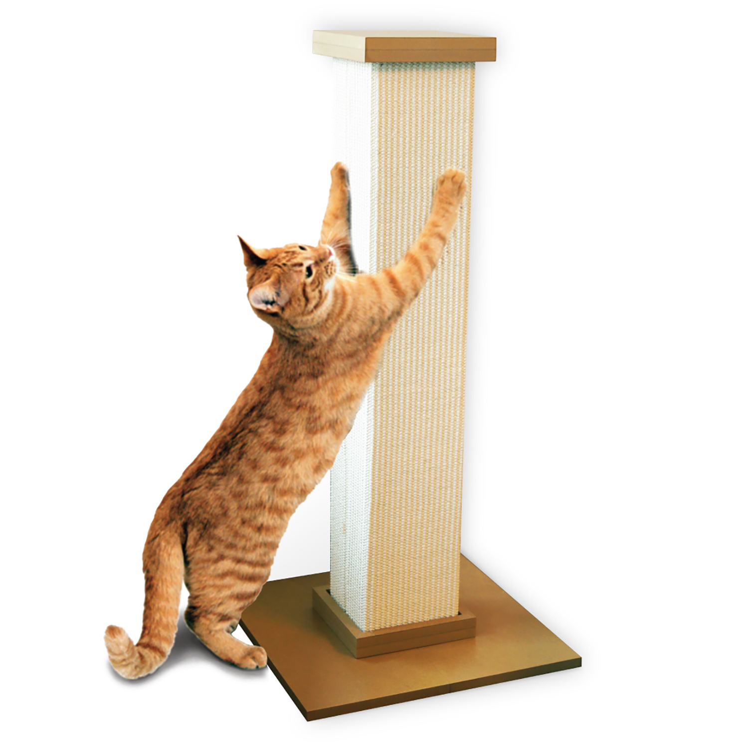 The Ultimate Scratching Post