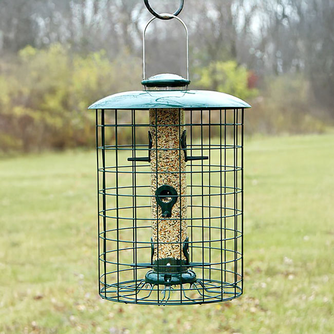 Caged 6 Port Seed Tube Feeder