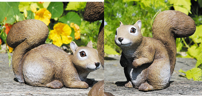 Squirrel Baby Assortment