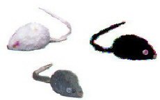 Three Blind Mice