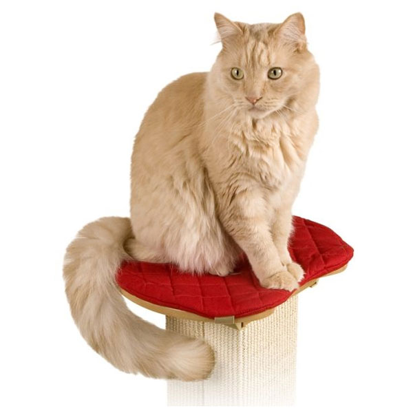 The Ultimate Post Perch with Pad