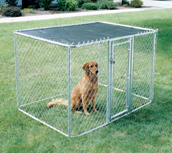 Midwest K9 Kennel - 6'L x 4'W x 4'H