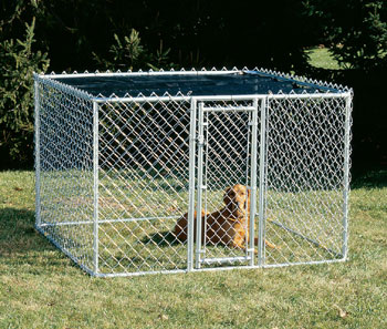 Midwest K9 Kennel - 6'L x 6'W x 4'H