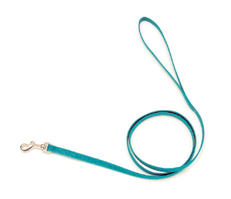 Sassy® Nylon Lead -  4 foot