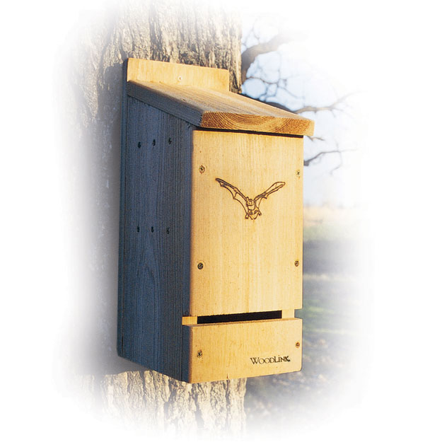 Bat Cottage