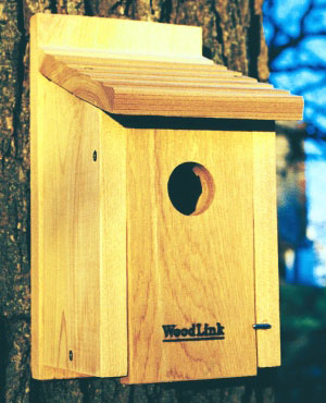Bluebird House