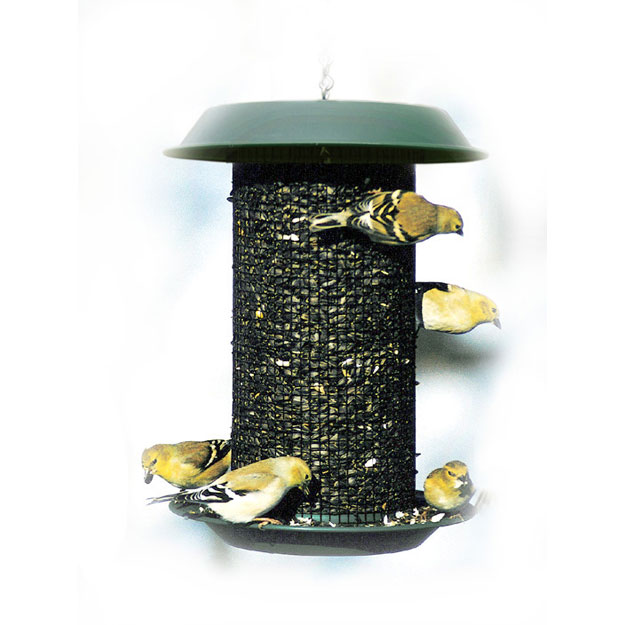Plastic Magnum Sunflower Screen Feeder