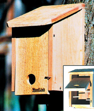 Winter Roosting Box