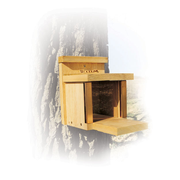 Squirrel Lunch Box Feeder