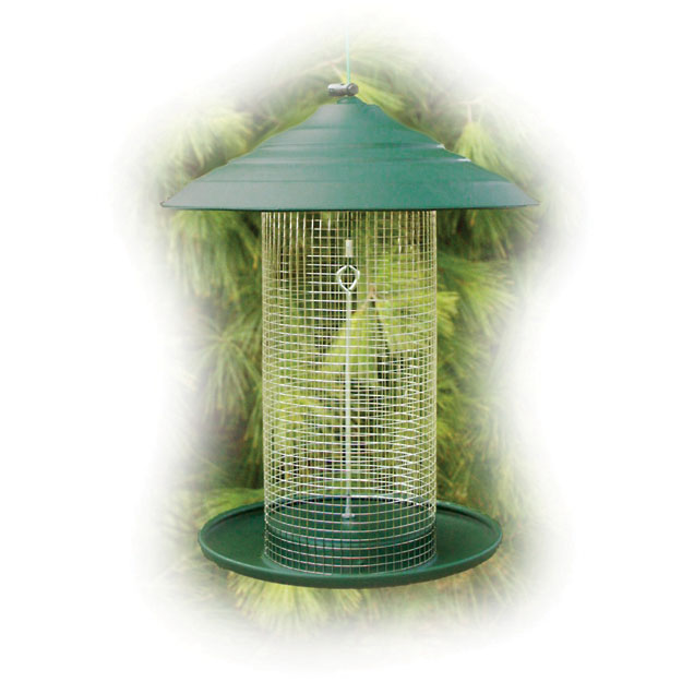 Green Steel Magnum Sunflower Feeder