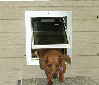 Medium Size Insulated Acrylic Glass Pet Door