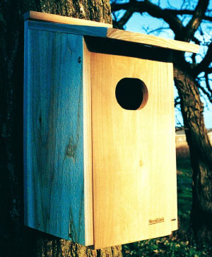 Wood Duck House