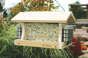 Woodlink® Professional Feeder #2 with suet
