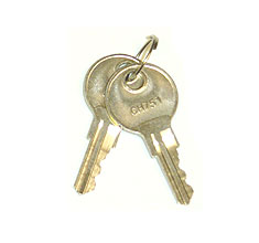 Replacement Keys for SmartPet Door - Pkg. of 2