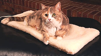 Thermo Kitty Mat