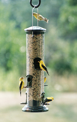 Woodlink® Mega Tube Feeder